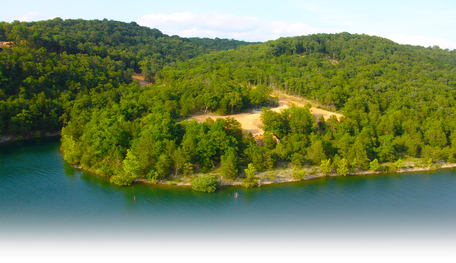 Trees - Table Rock Lake